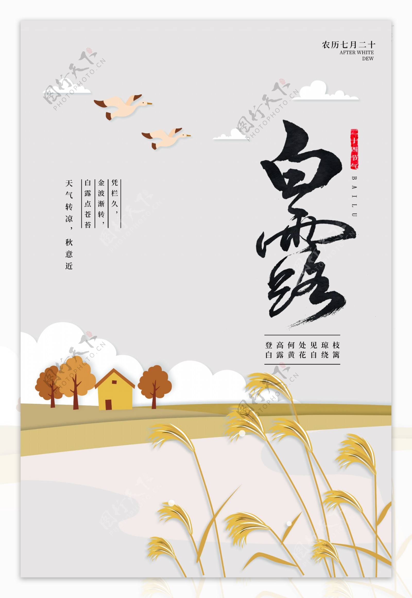 白露节日传统活动宣传海报素材图片