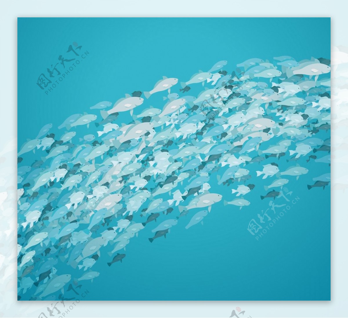 美丽银色深海鱼群图片