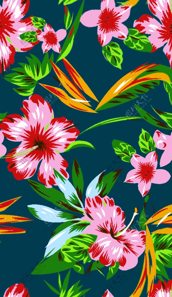 手绘花热带花卉图片