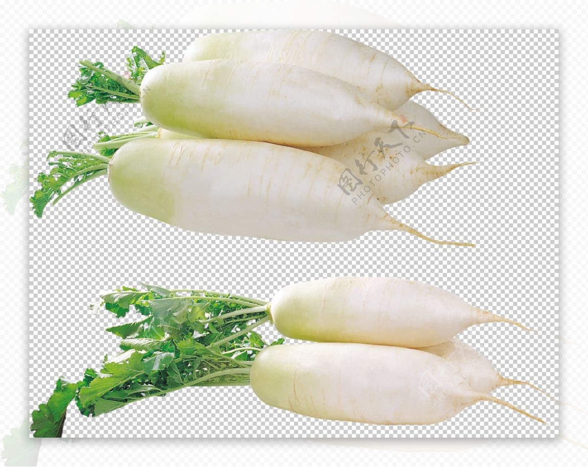 白萝卜蔬菜素材-白萝卜蔬菜图片-白萝卜蔬菜素材图片下载-觅知网