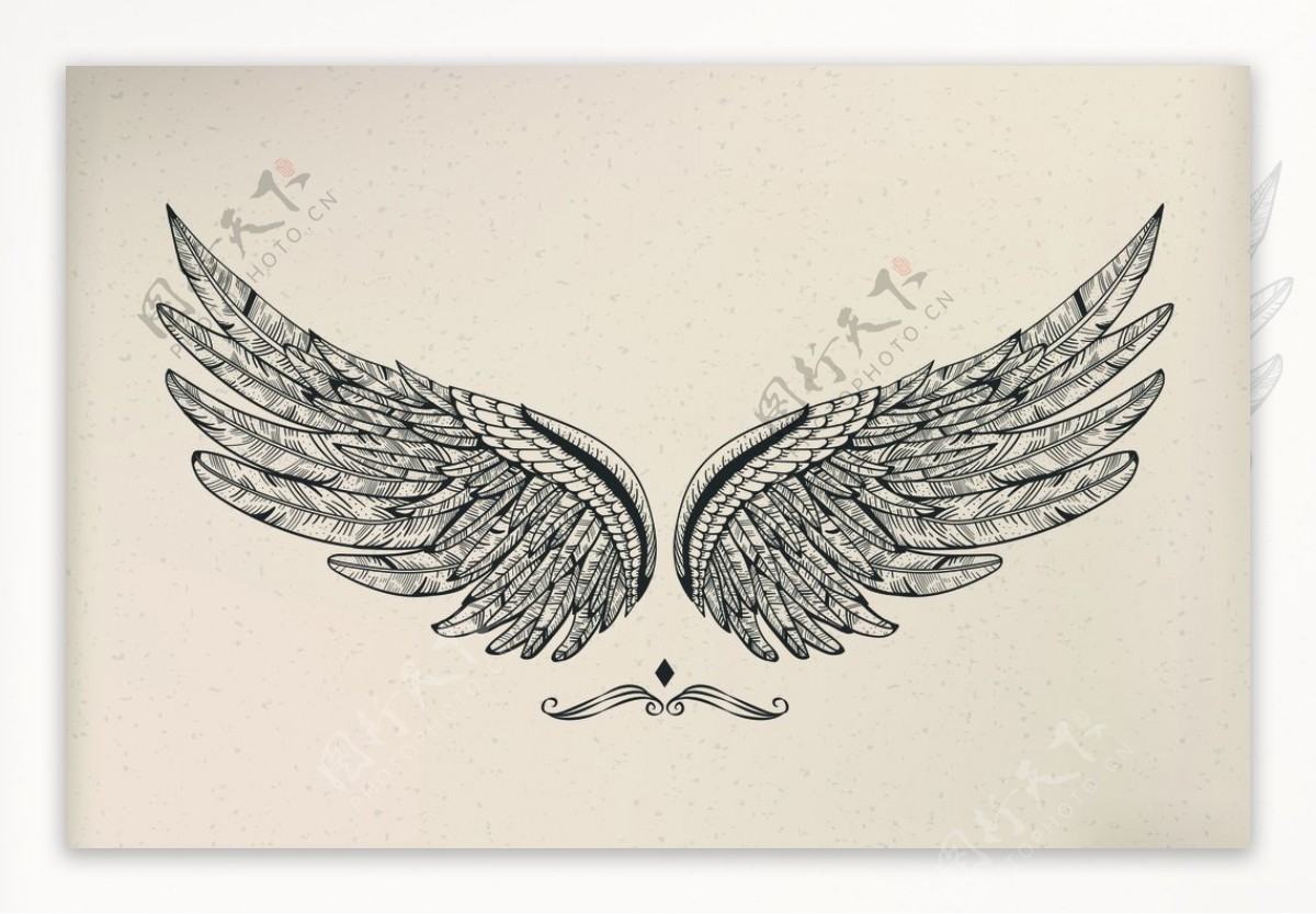 翅膀飞翔天使的翅膀装饰图案图片
