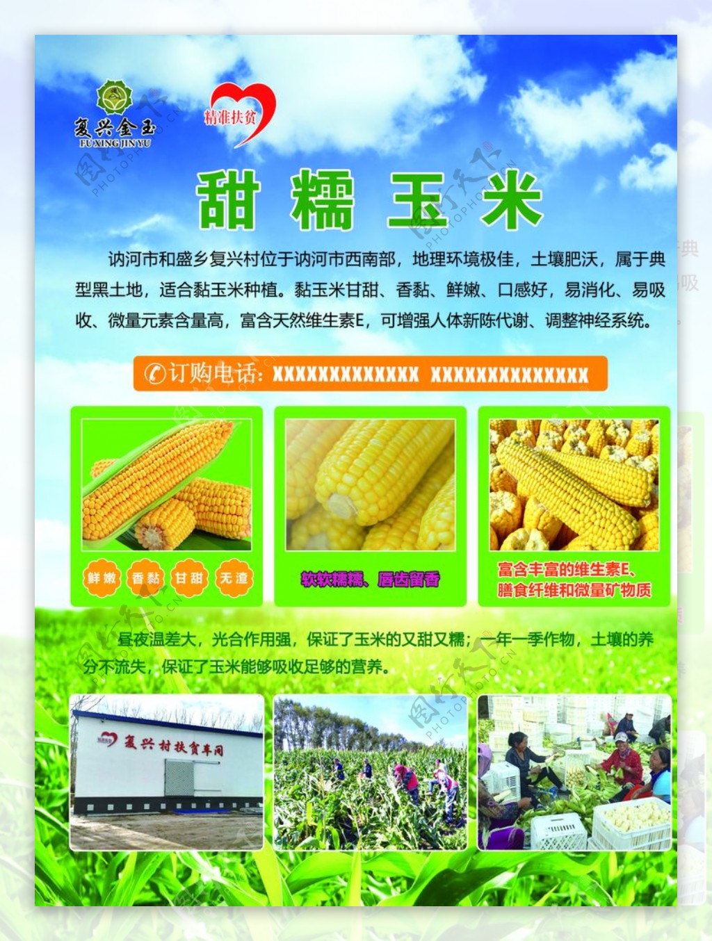 甜糯玉米展销宣传单图片