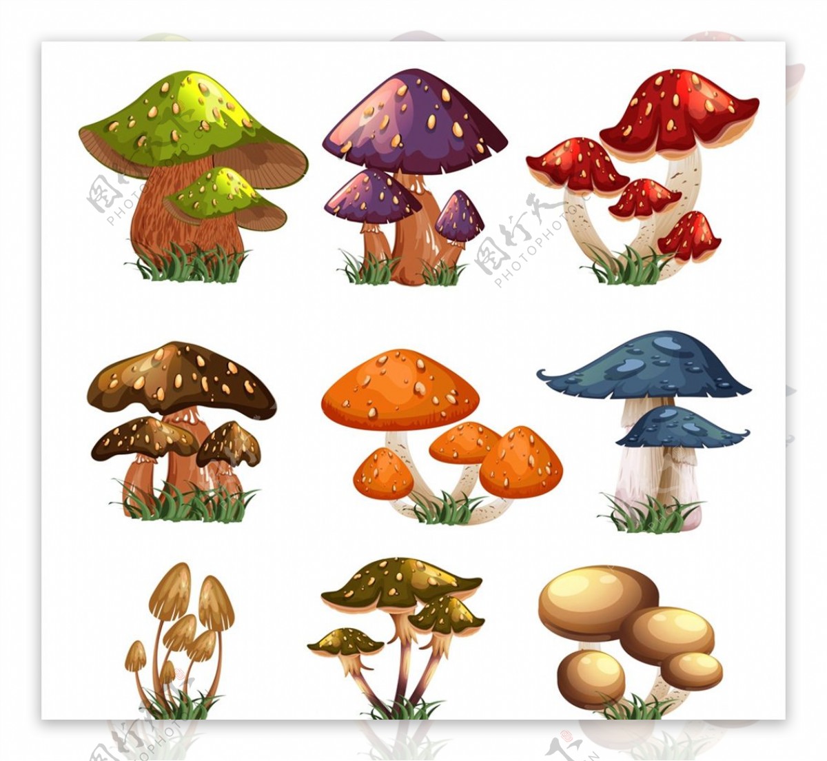 卡通蘑菇设计图片