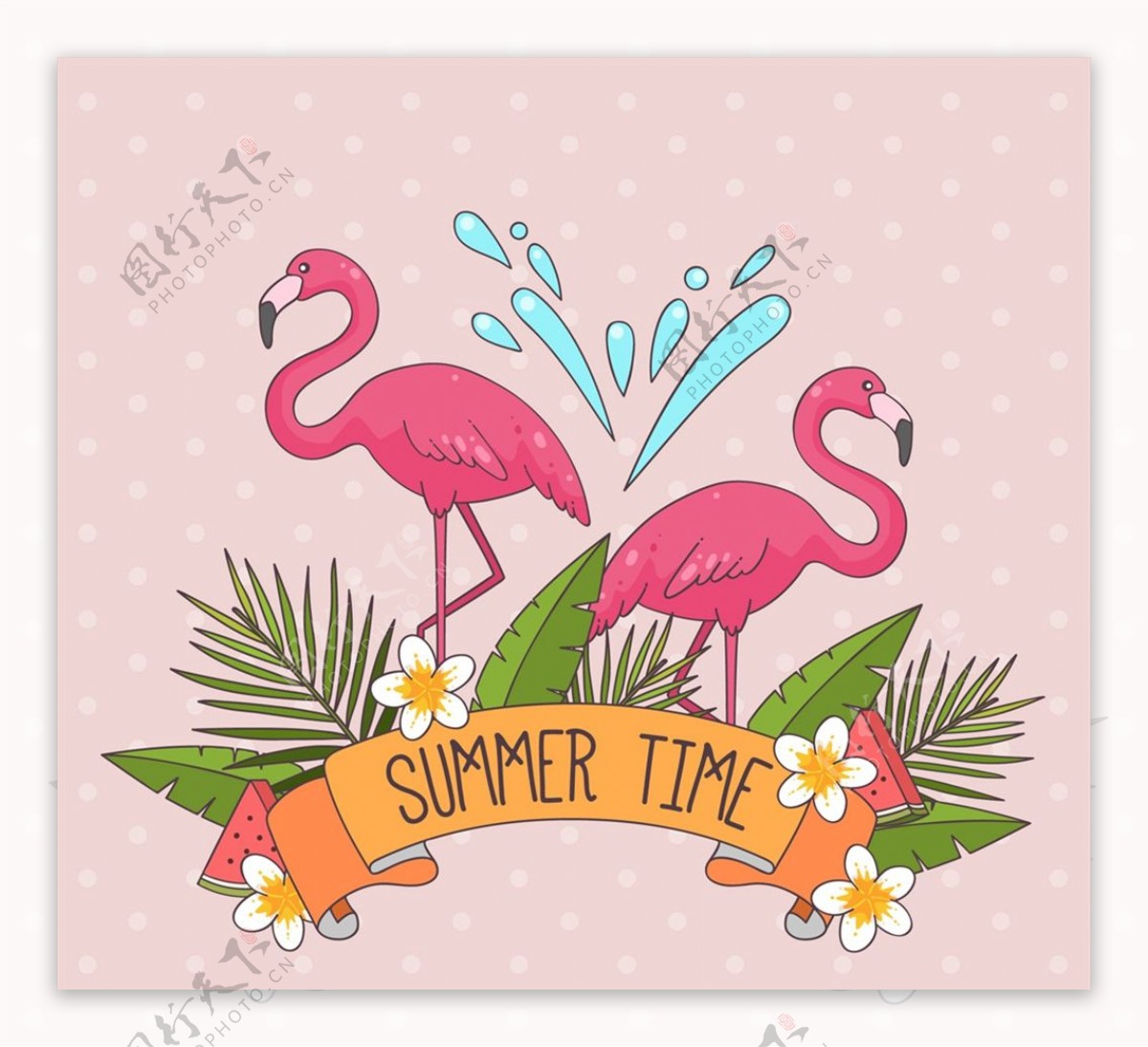 夏季火烈鸟和花草图片