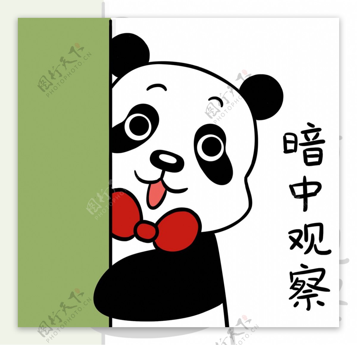 熊猫照照图片