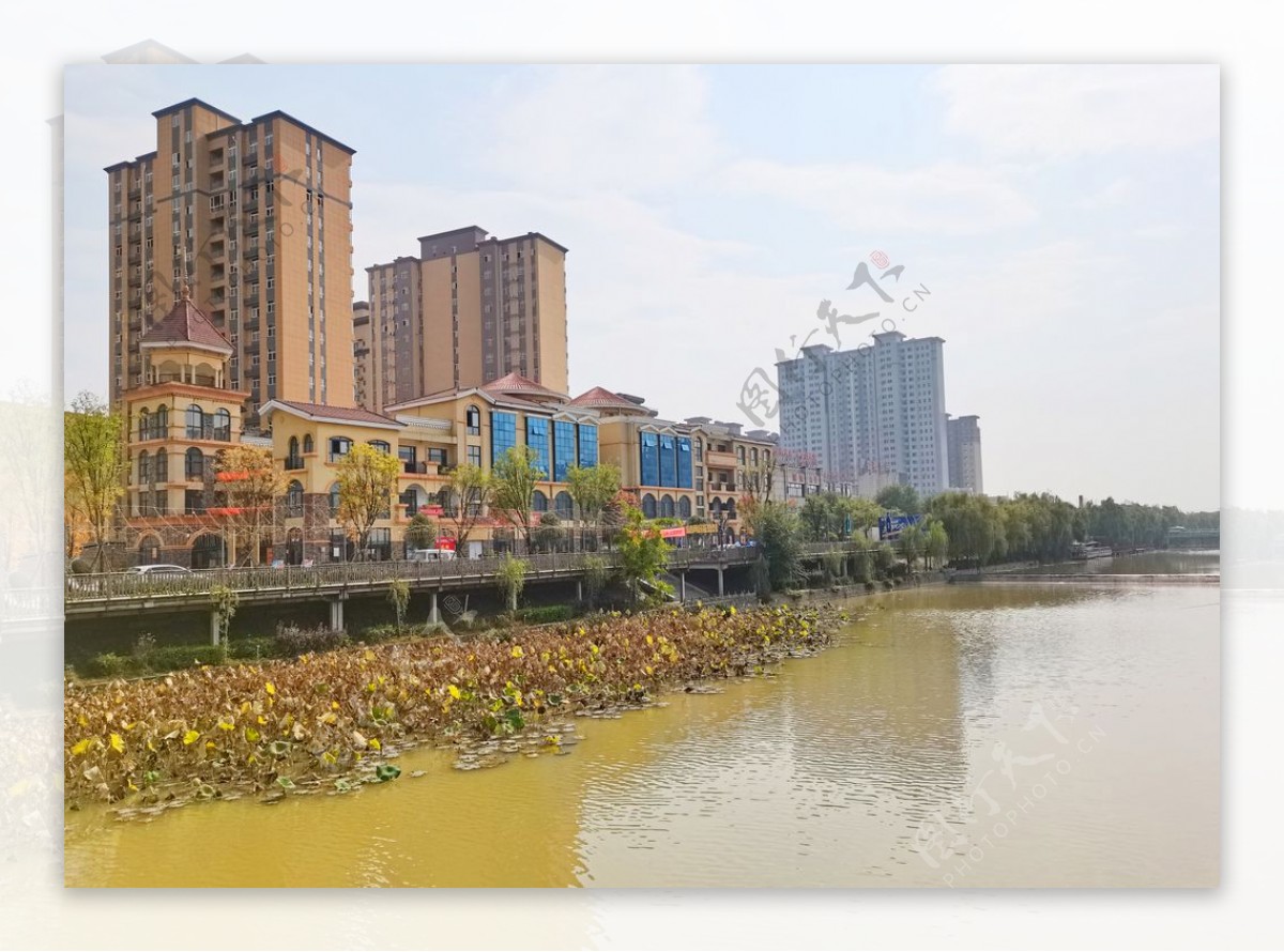 河畔的城市高楼图片