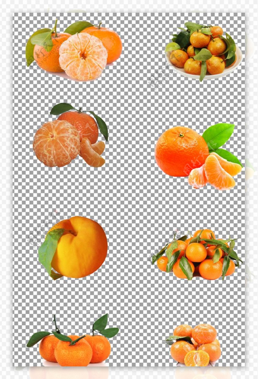 砂糖橘图片