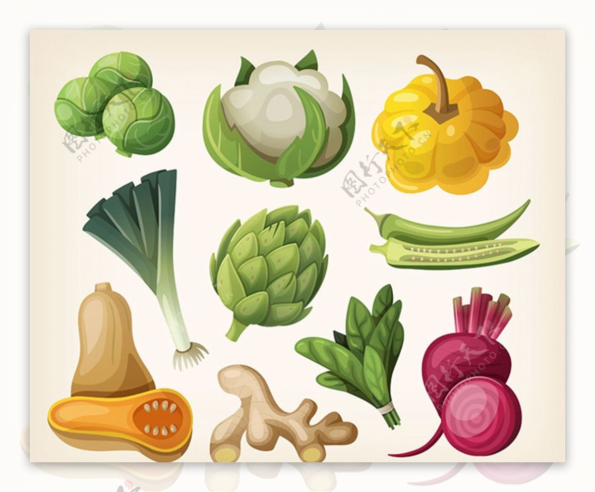时尚蔬菜设计图片