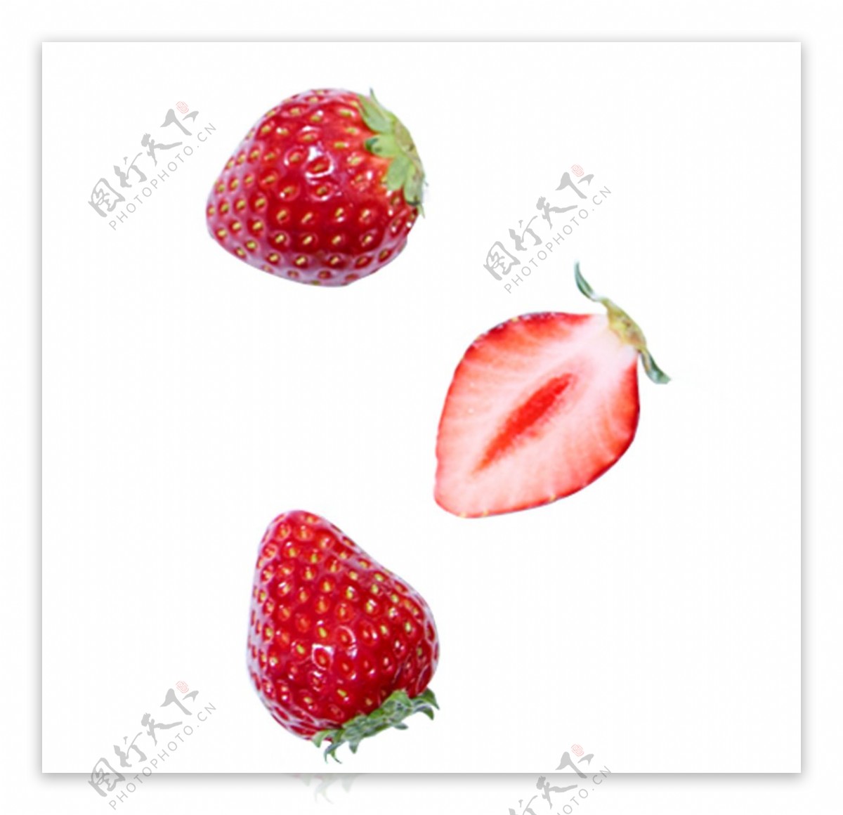 三棵草莓图片