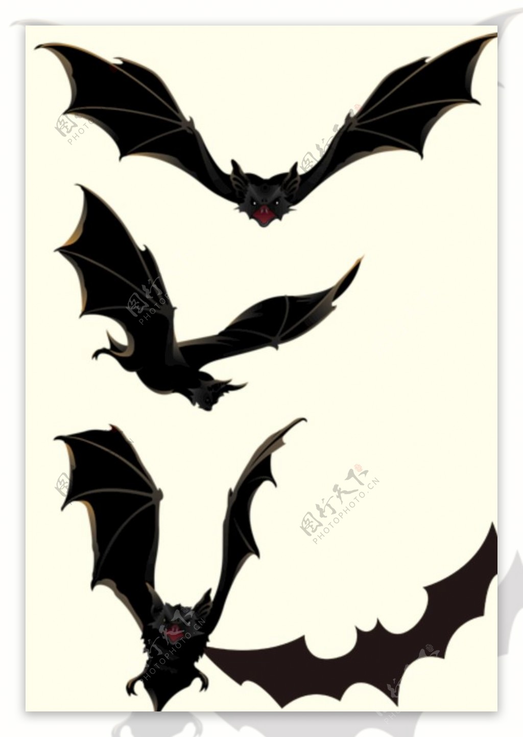 万圣节展翅飞翔的蝙蝠图片