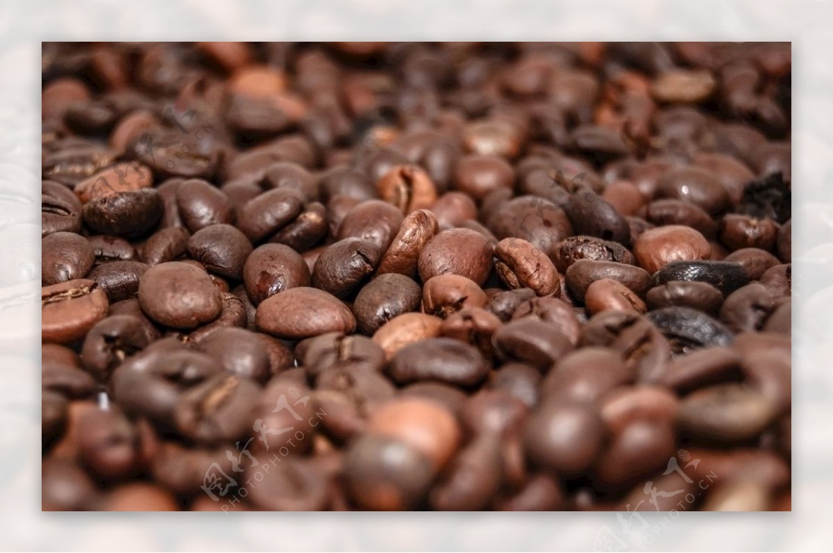 香醇的咖啡豆图片