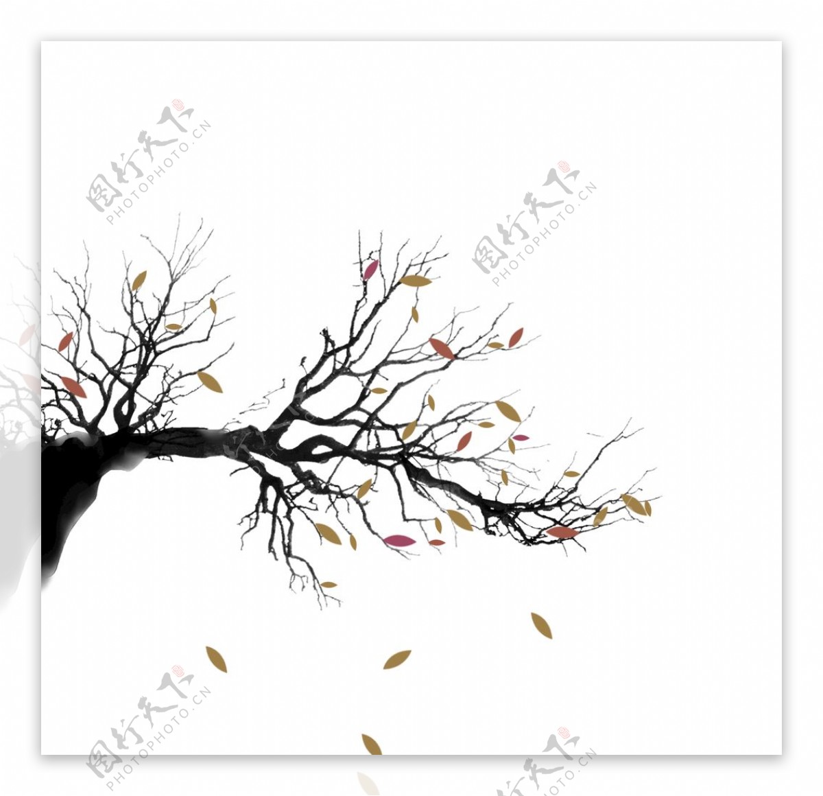 树叶树枝装饰元素图片