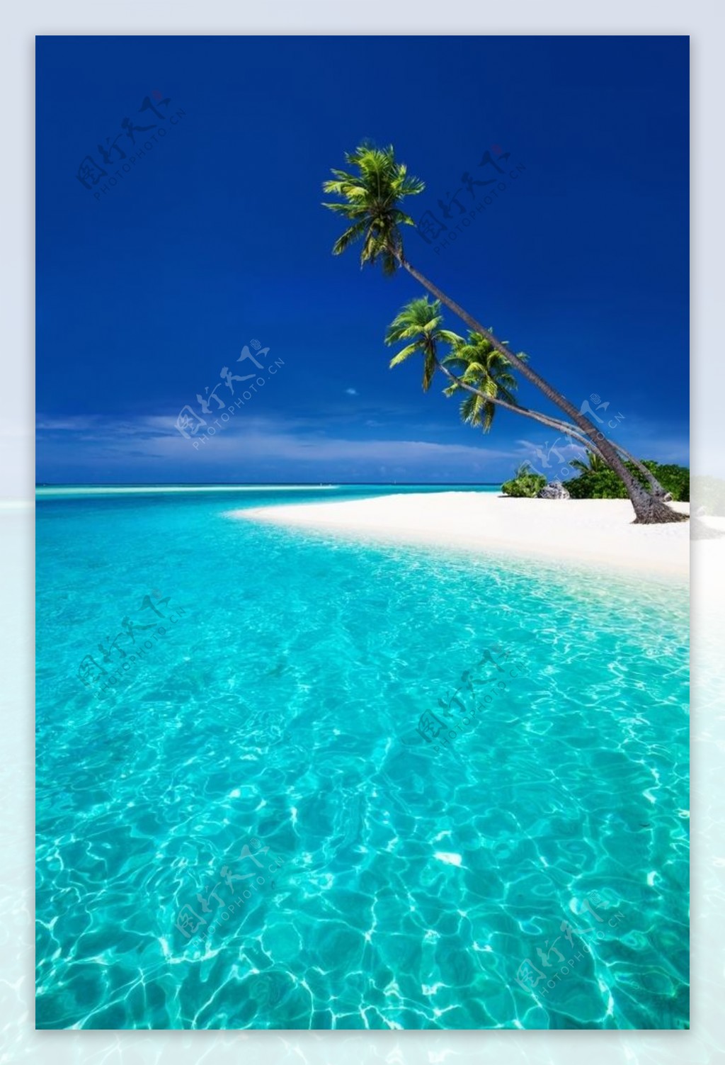 海边椰树沙滩风景图片大全-海边椰树沙滩风景高清图片下载-觅知网