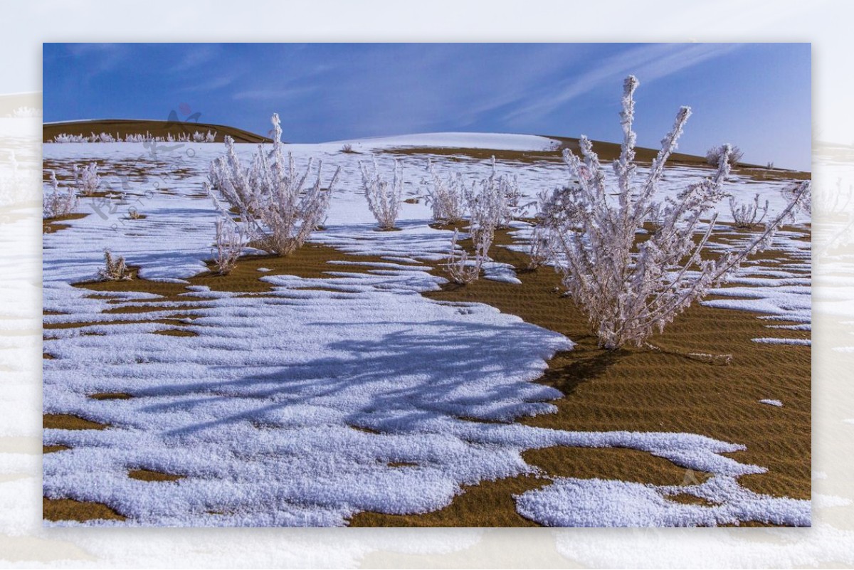 沙漠雪景图片