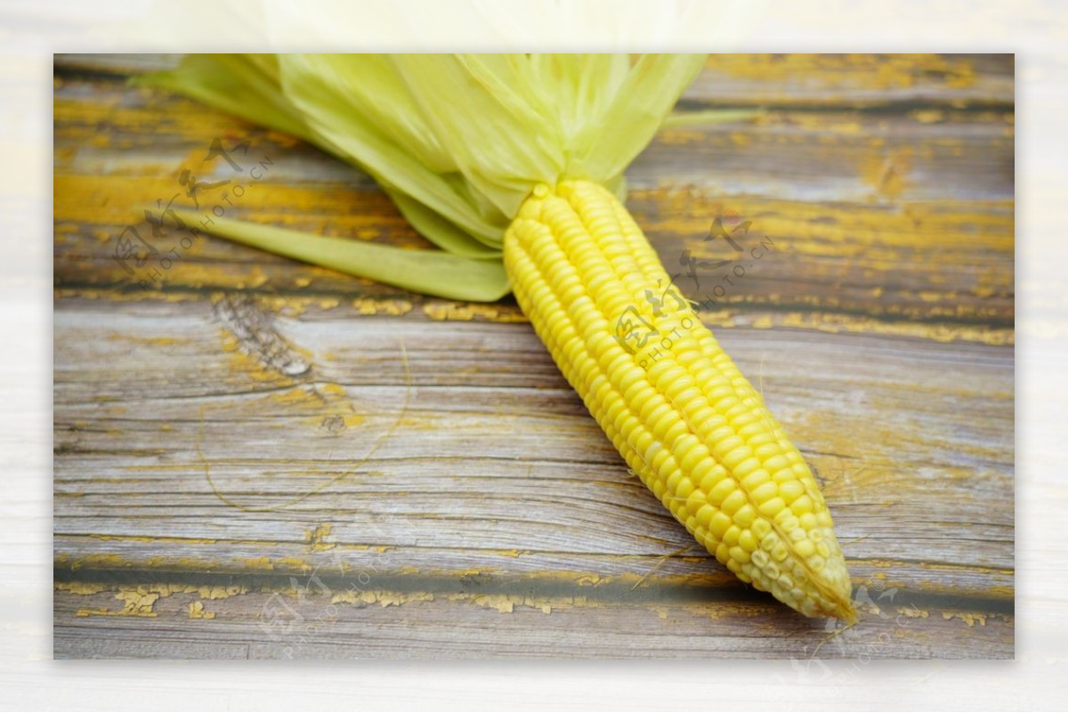玉米高清大图图片
