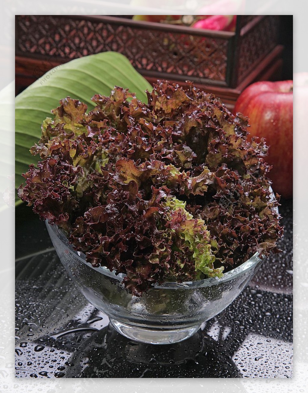 豫菜紫生菜图片