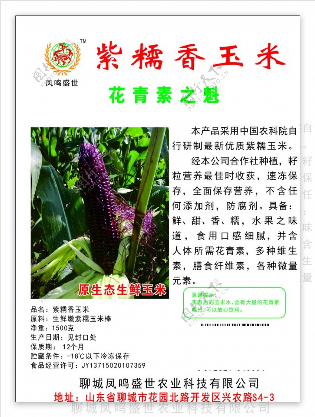 五彩玉米紫玉米香甜图片