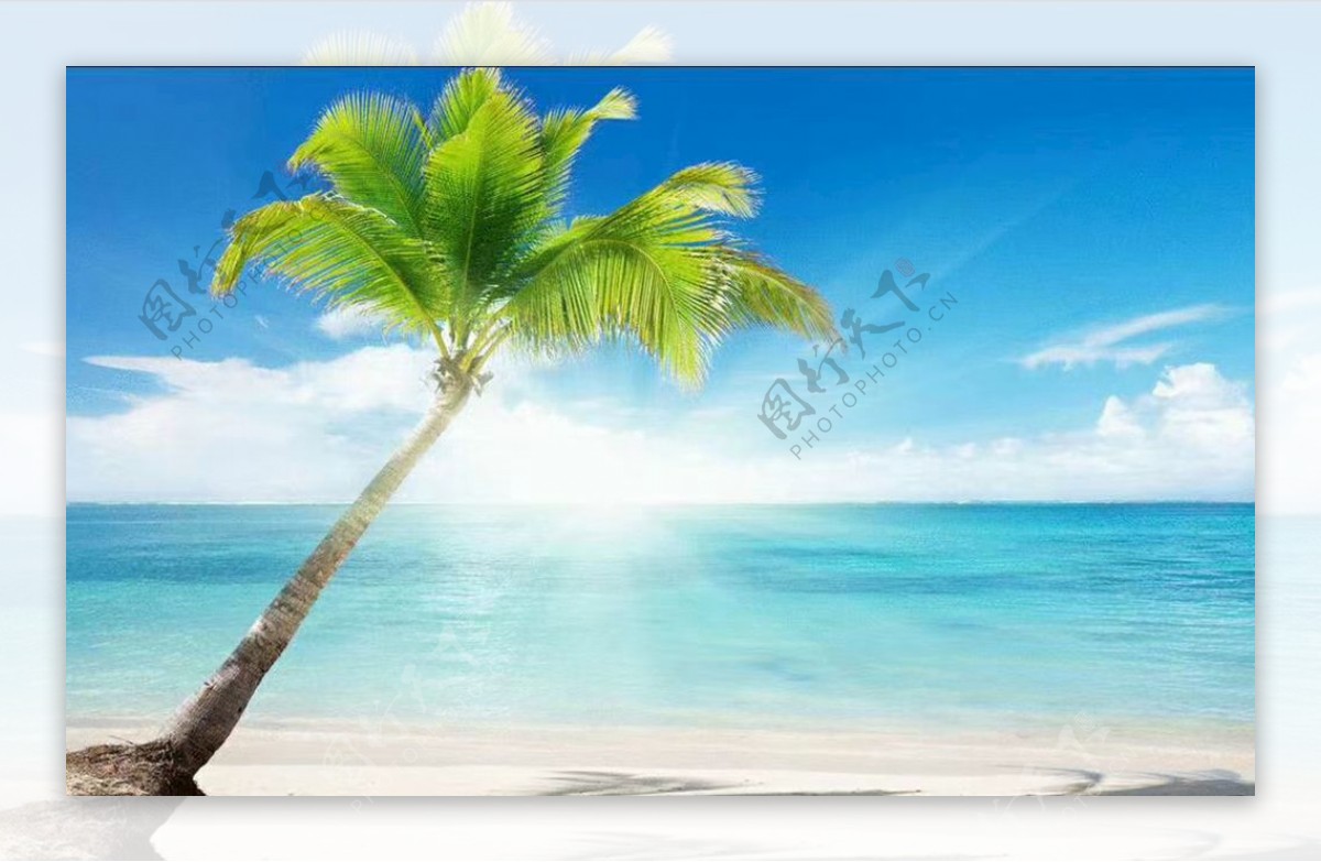 【风景壁纸】蓝天/白云/海滩/贝壳/椰子树 - 哔哩哔哩
