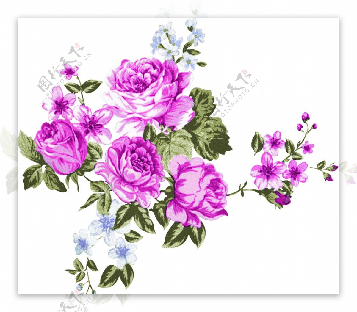 手绘花朵花朵素材玫瑰图片