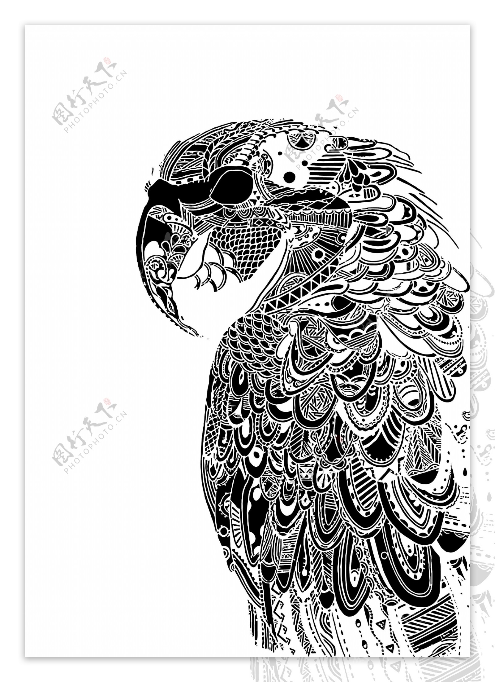 鹦鹉黑白装饰画图片