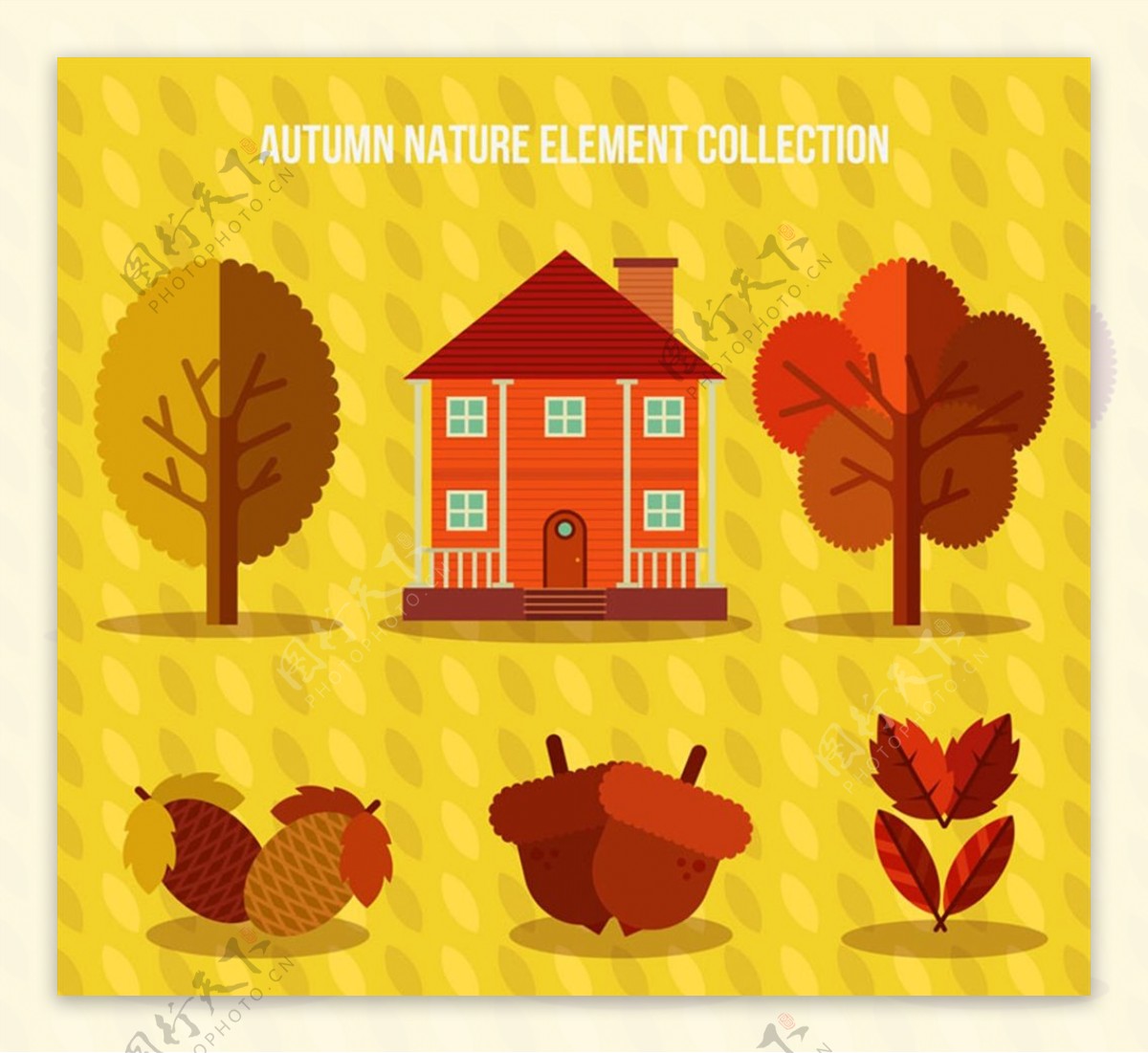 秋季植物和房屋图片