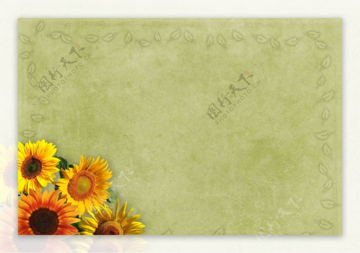 花卉帧向日葵背景图片