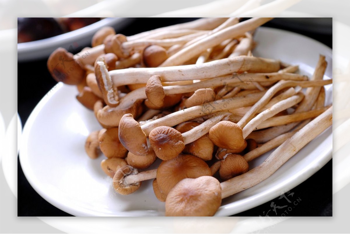 汤锅类茶树菇图片