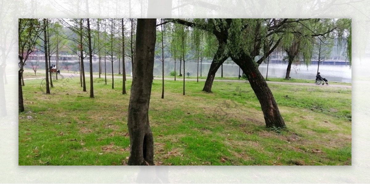 师范大学旁边下午的湖边公园图片