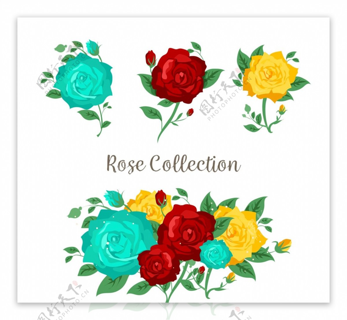 彩色玫瑰花和花束图片