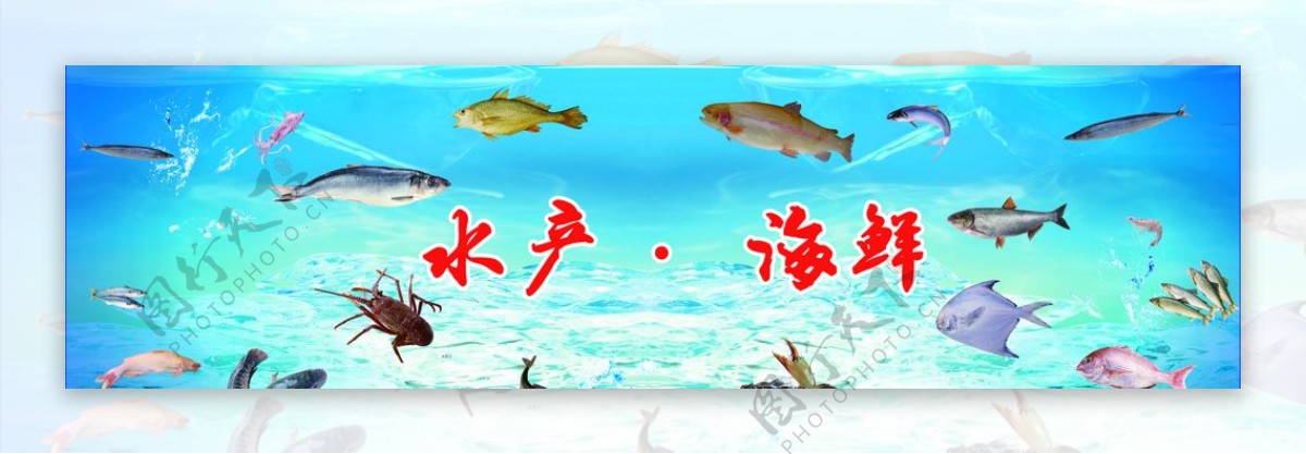 水产海鲜活鱼图板墙贴图片