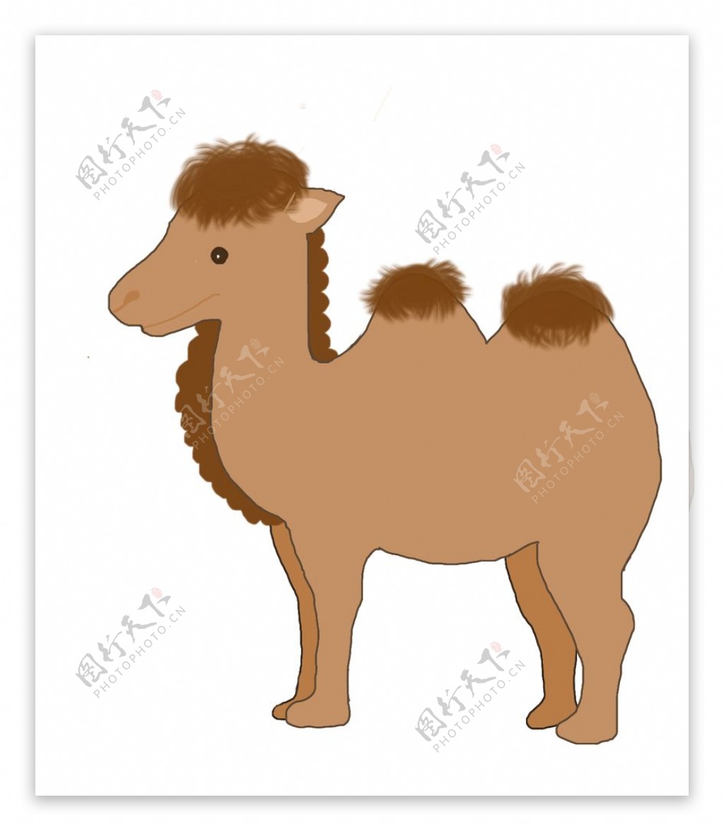 卡通骆驼插画图片素材-编号40014041-图行天下