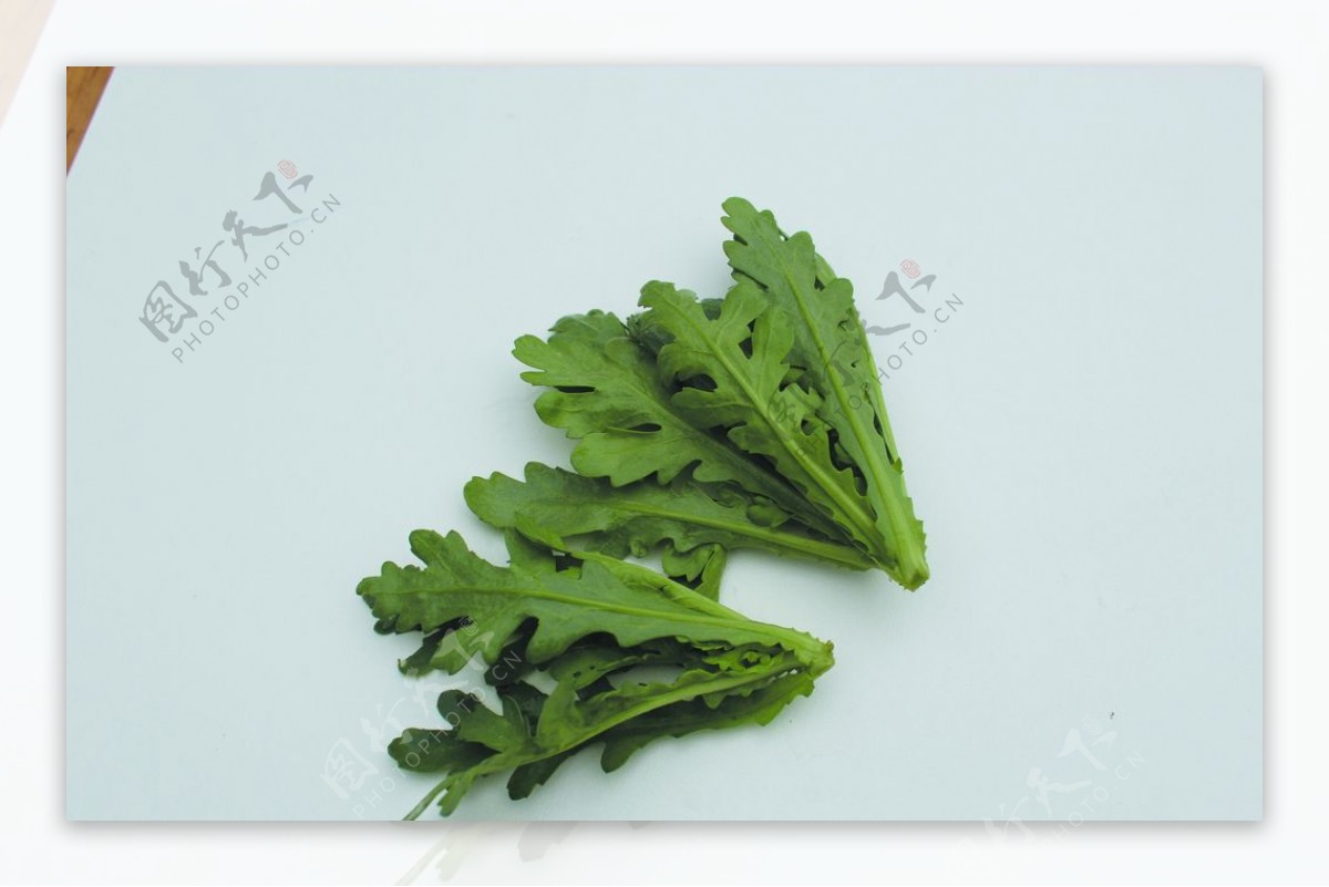 蔬菜茼蒿图片