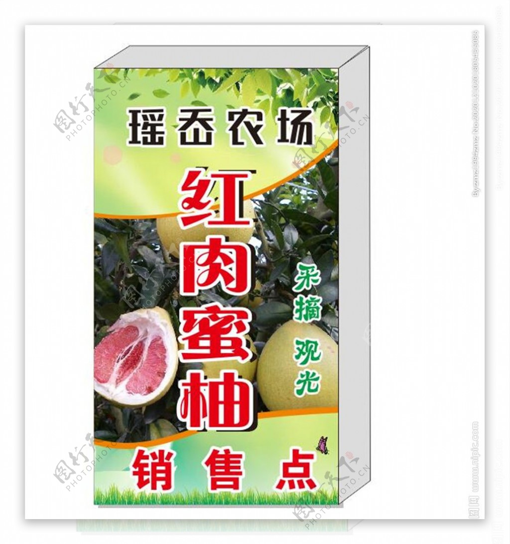 红肉蜜柚广告灯箱图片