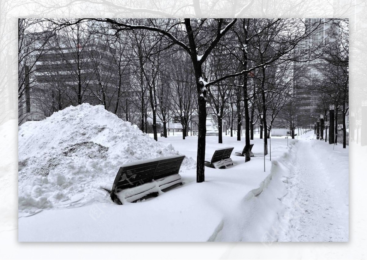 雪景图片