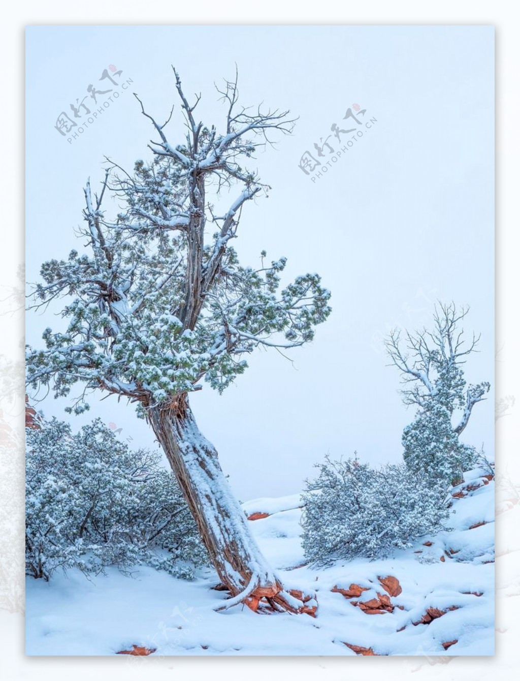 雪景图片