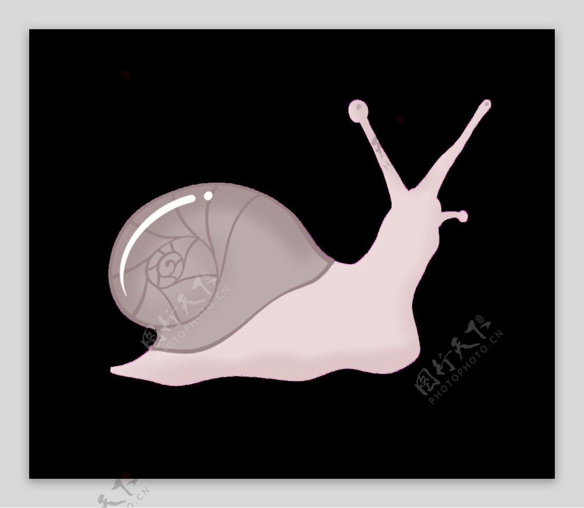 手绘蜗牛素材图片