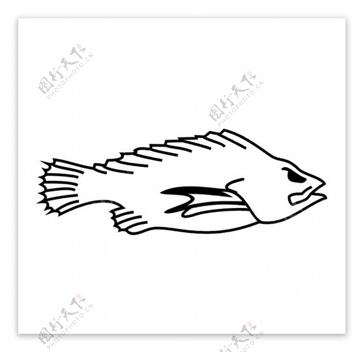 鱼素材矢量图图片