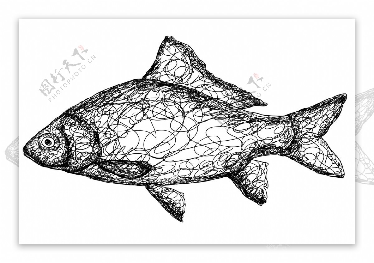 线描鱼图片
