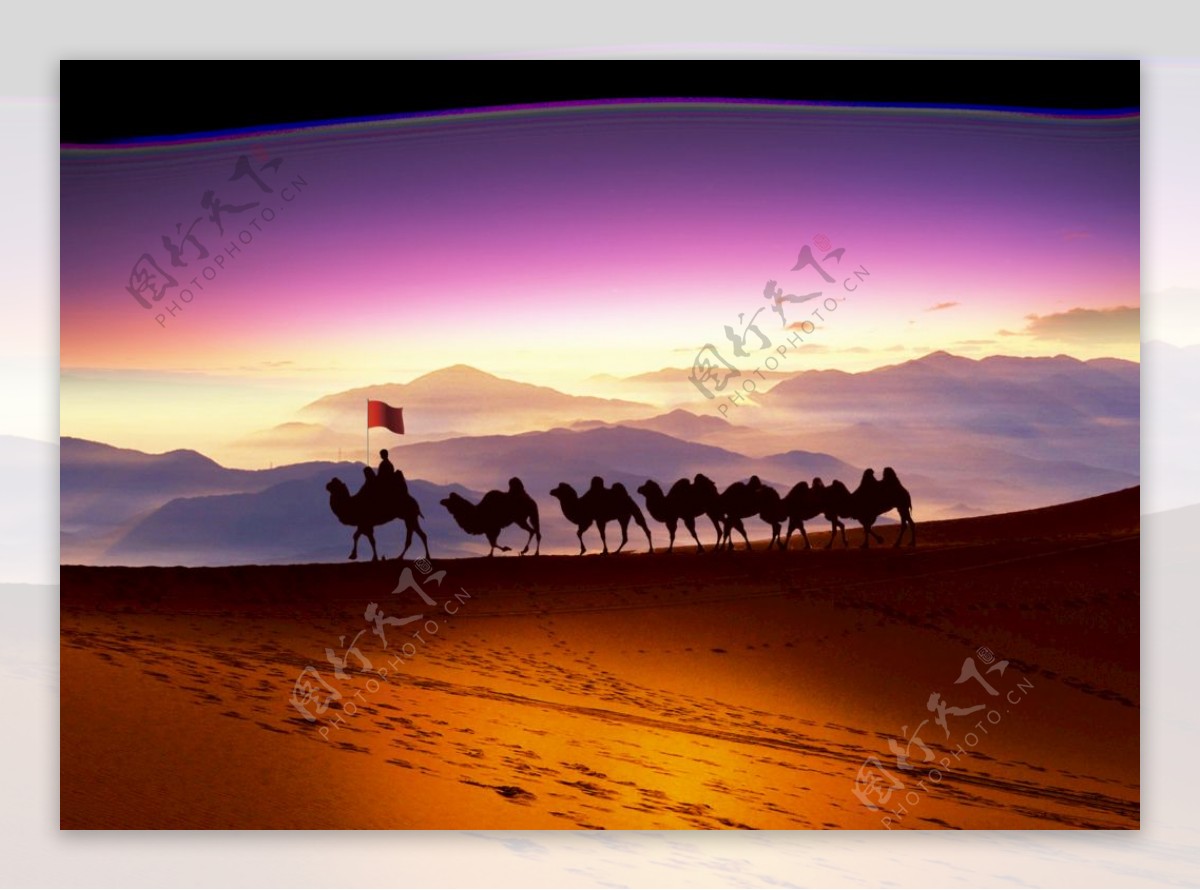 骆驼沙漠背景图片