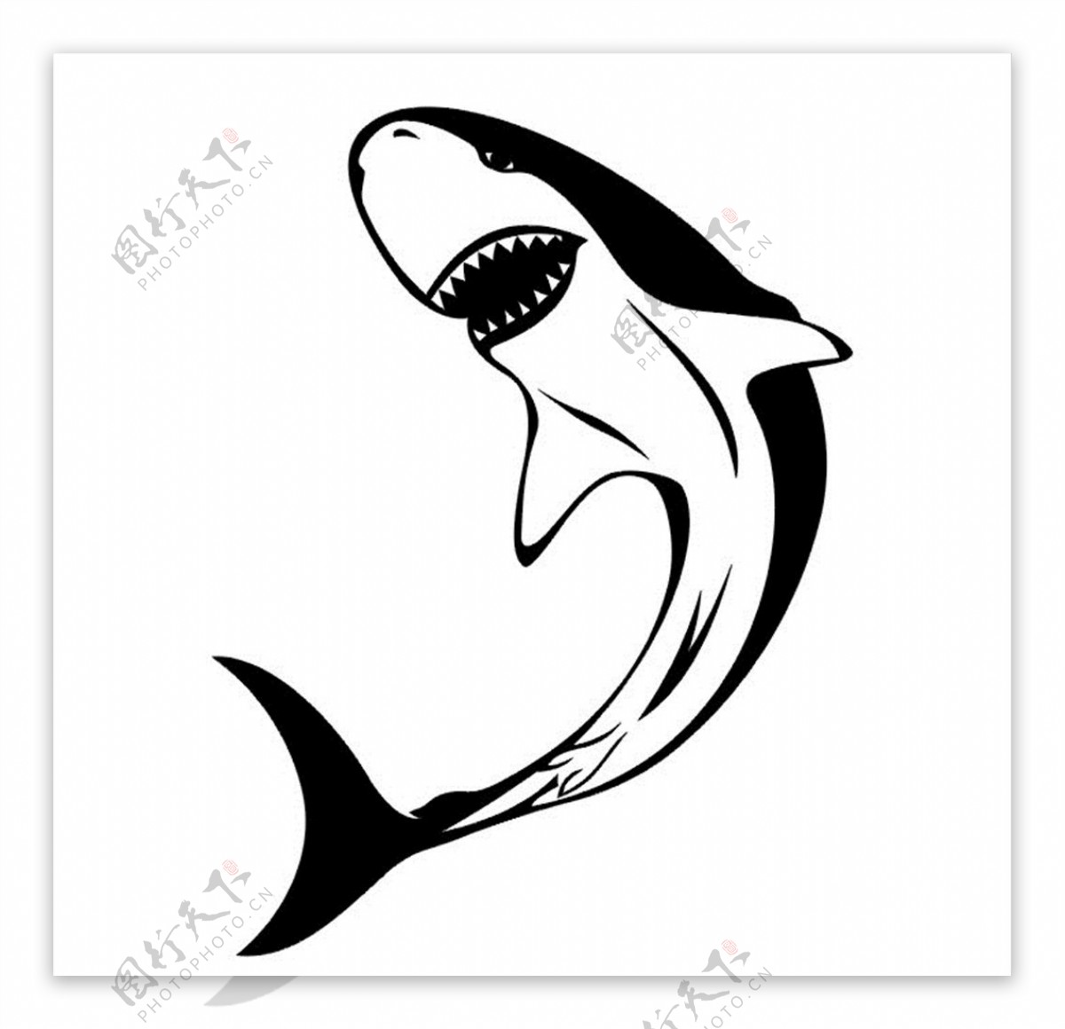 鲨鱼矢量图图片