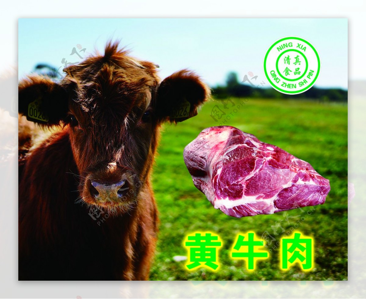 小炒黄牛肉图片素材-编号14802095-图行天下