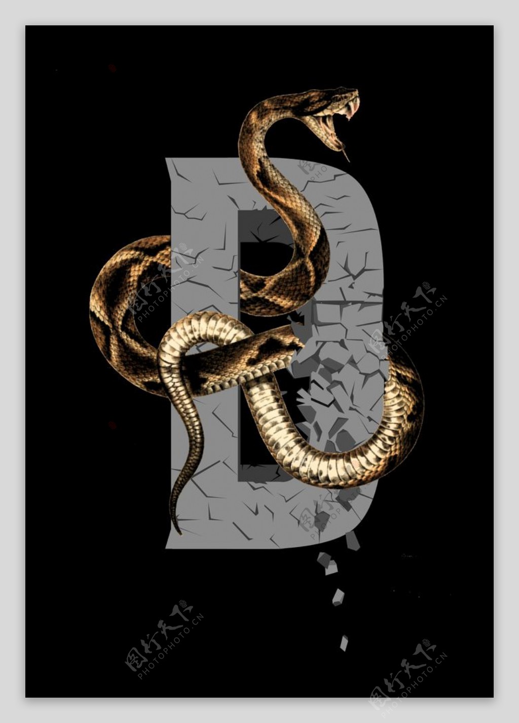 字母蛇图片