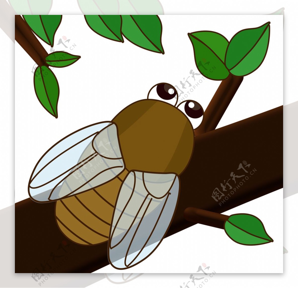 动物蝉的卡通插画图片素材-编号40257106-图行天下