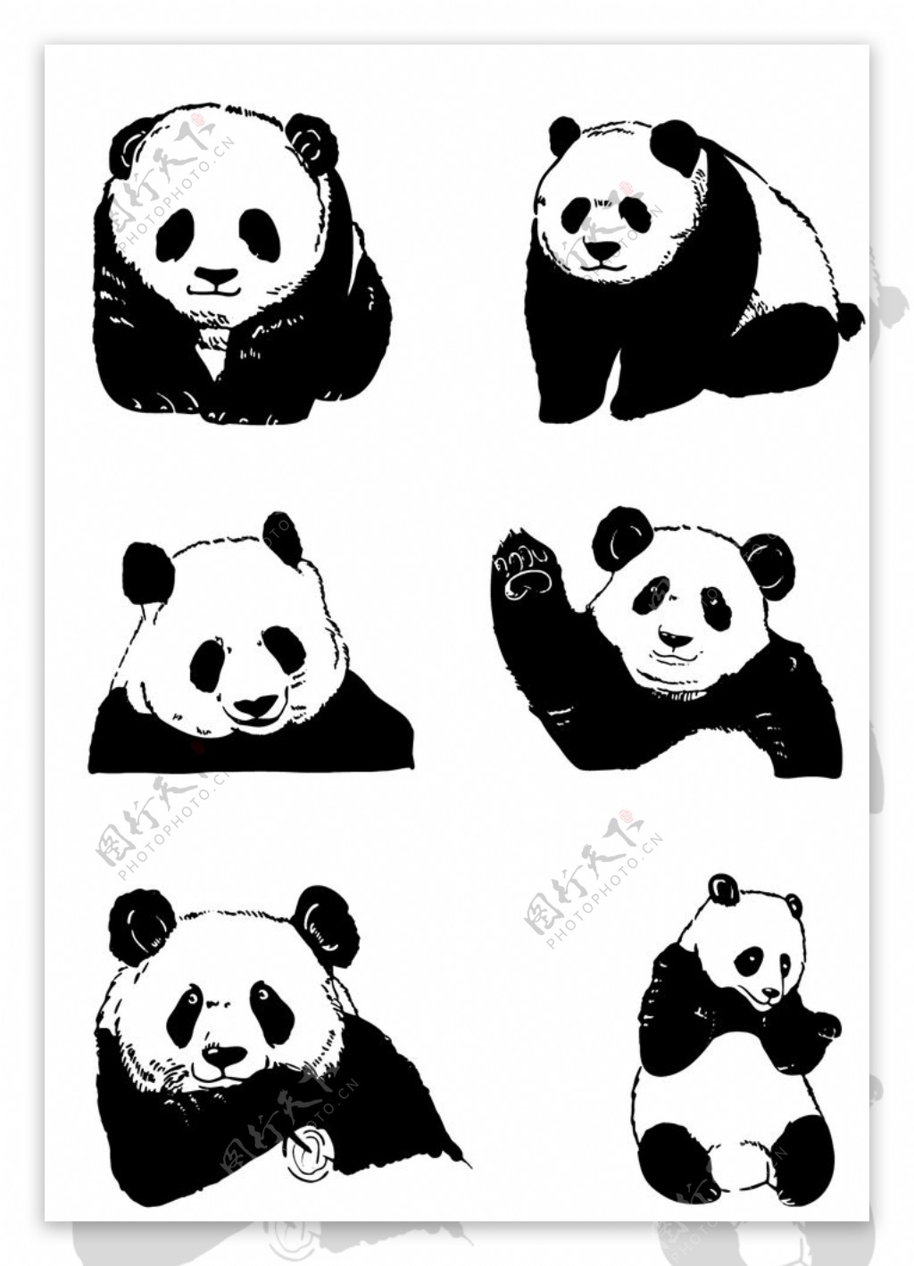 手绘国宝熊猫图片