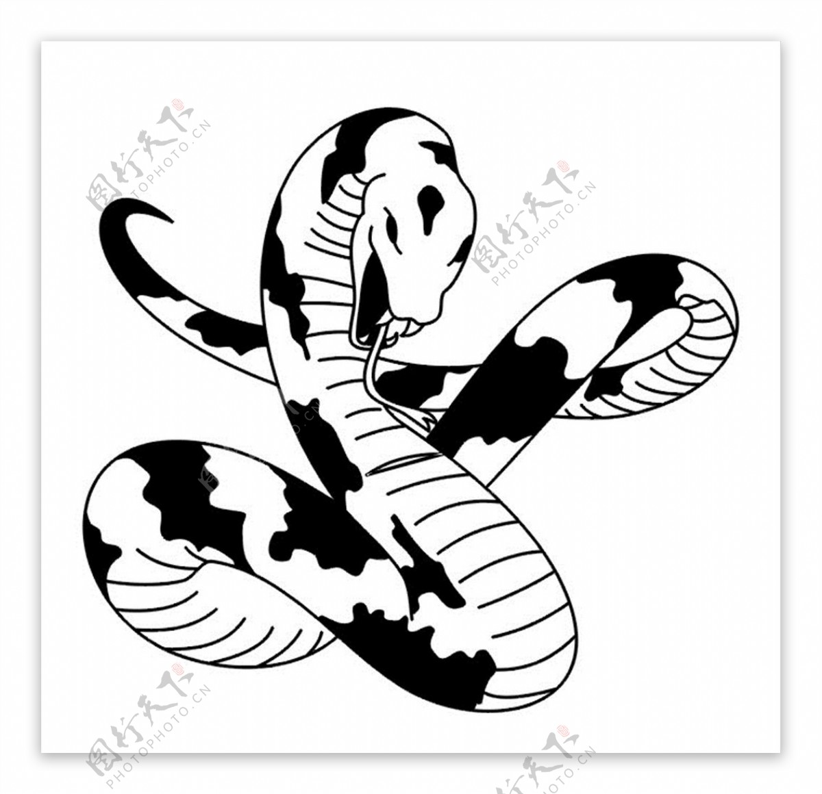 花蛇图案图片